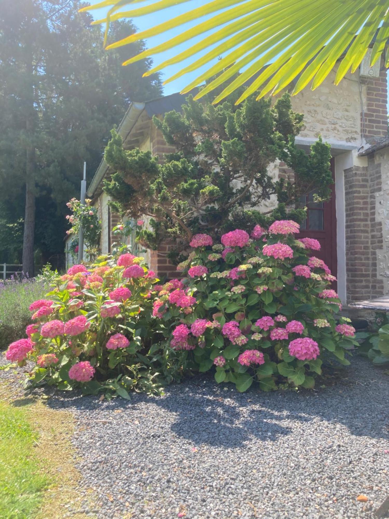 L'Oreade Amfreville-sur-Iton Bagian luar foto
